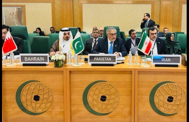 the diplomatic vission