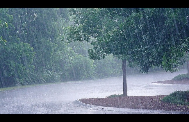 Weather update for Peshawar, Khyber Pakhtunkhwa; intermittent rains, gusty winds likely