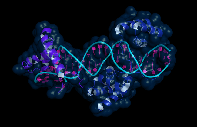 Epigenetics: Are we in a new era of cancer research?